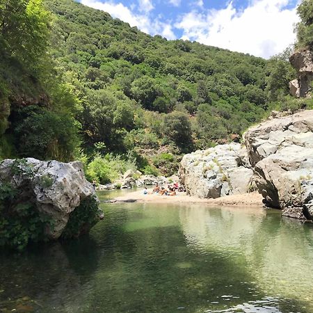 New! La Ginestra,Casa Vacanze Bifamiliare In Montagna-Seulo Sardegna Eksteriør billede