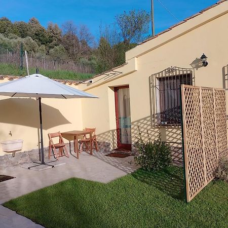 New! La Ginestra,Casa Vacanze Bifamiliare In Montagna-Seulo Sardegna Eksteriør billede