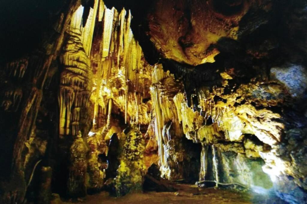 New! La Ginestra,Casa Vacanze Bifamiliare In Montagna-Seulo Sardegna Eksteriør billede
