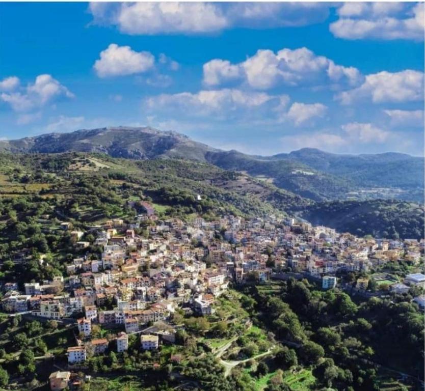 New! La Ginestra,Casa Vacanze Bifamiliare In Montagna-Seulo Sardegna Eksteriør billede