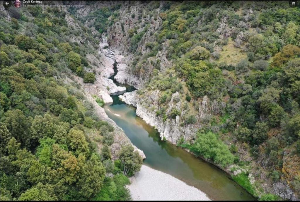 New! La Ginestra,Casa Vacanze Bifamiliare In Montagna-Seulo Sardegna Eksteriør billede