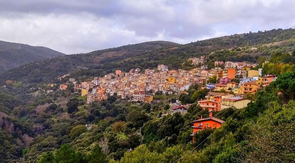 New! La Ginestra,Casa Vacanze Bifamiliare In Montagna-Seulo Sardegna Eksteriør billede