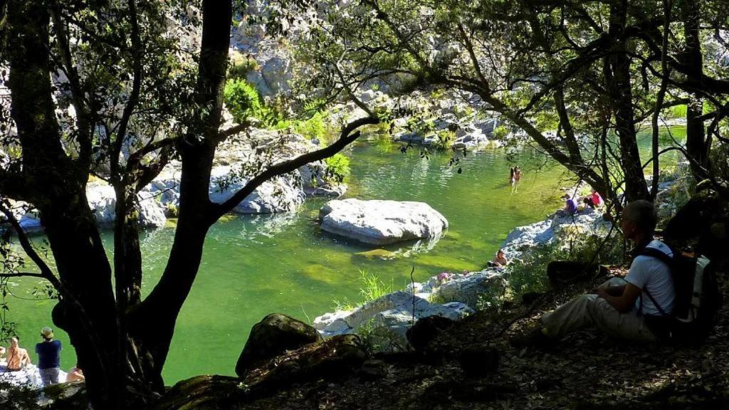 New! La Ginestra,Casa Vacanze Bifamiliare In Montagna-Seulo Sardegna Eksteriør billede