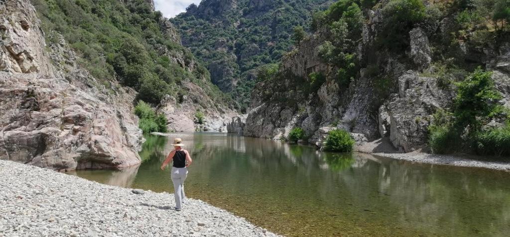 New! La Ginestra,Casa Vacanze Bifamiliare In Montagna-Seulo Sardegna Eksteriør billede