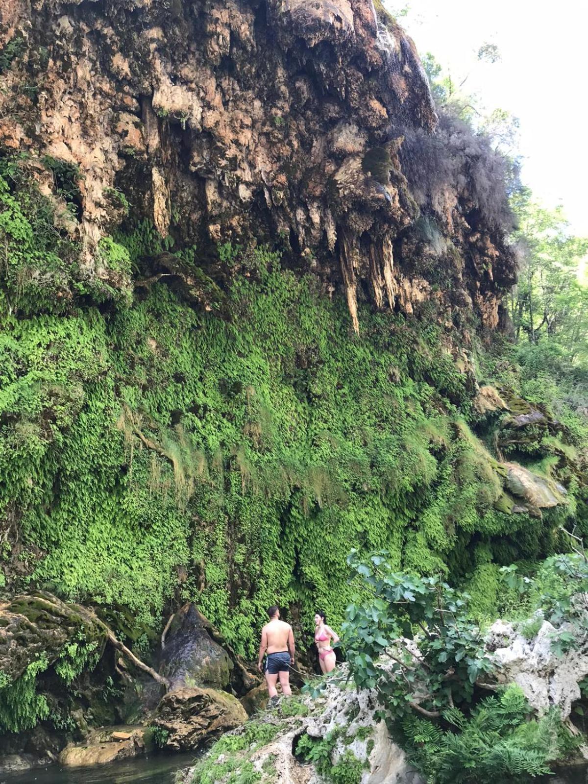 New! La Ginestra,Casa Vacanze Bifamiliare In Montagna-Seulo Sardegna Eksteriør billede